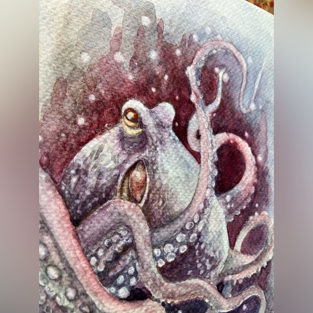 Original octopus painting kraken ocean art watercolor squid sealife artwork USA - Picture 3 of 5